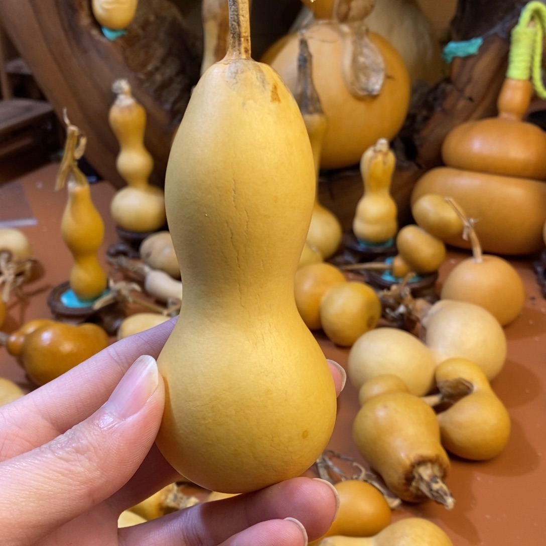 霸***】教练教练咯教练经理