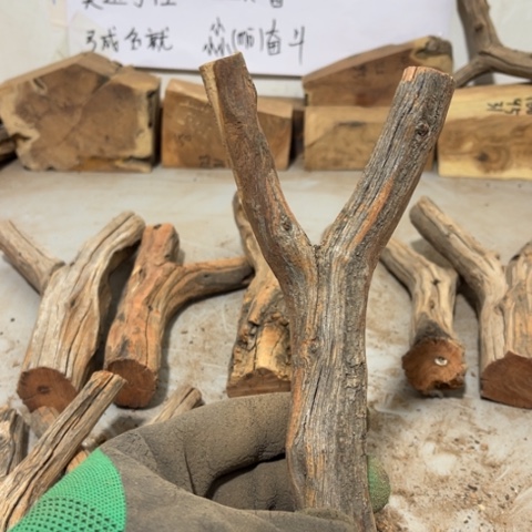 大果紫檀（缅甸花梨）繁*·