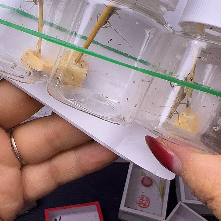 爱***多哈哈哈哈哈哈哈哈哈哈哈哈哈