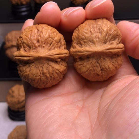 文玩核桃把件战神元宝32