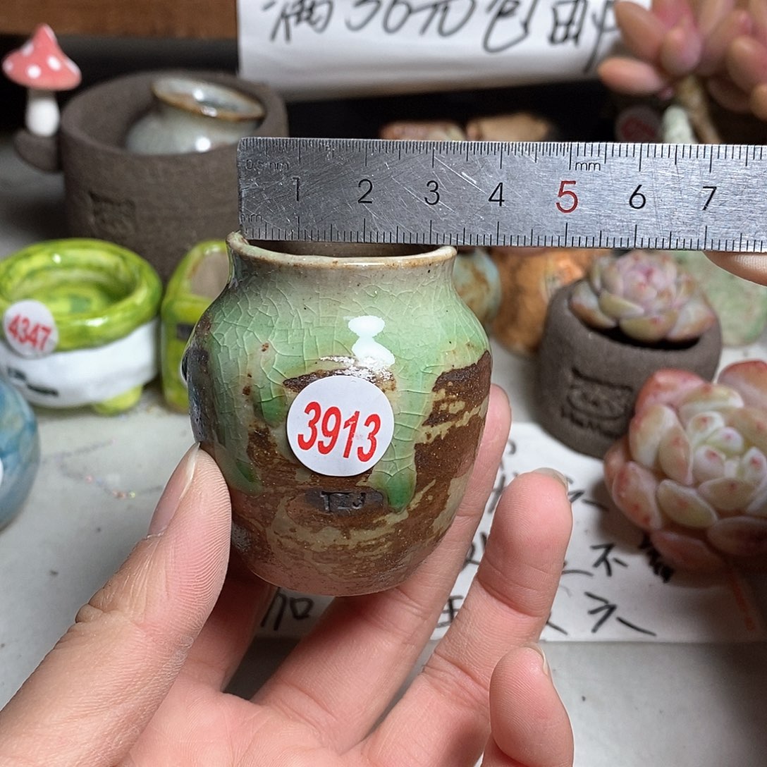 红陶拍5送一个小