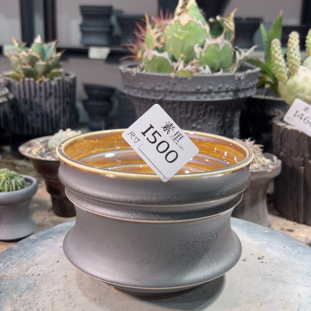 景德镇死素里手工内口14高10.3