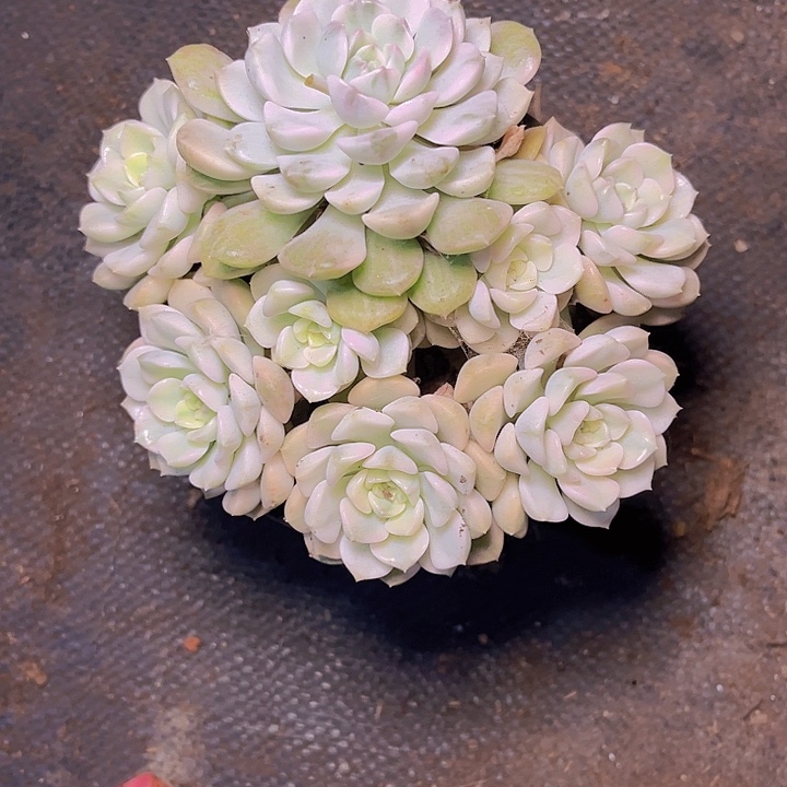 寶***ｇ一个人不容易吧哈哈很开心我