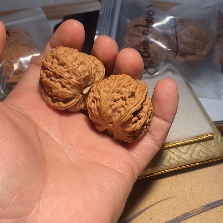 文玩核桃把件大*。核桃