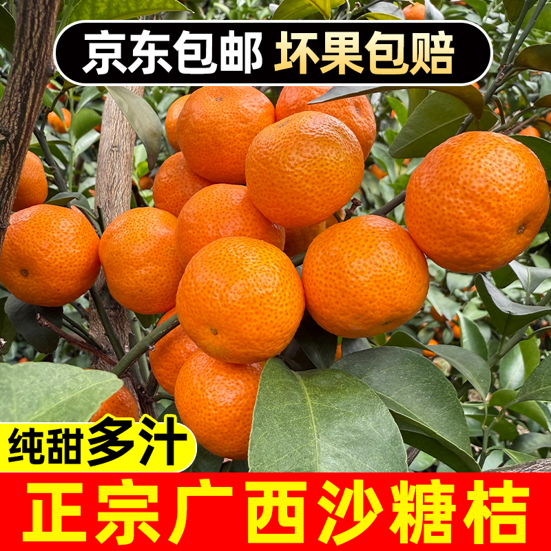 [京东包邮]正宗广西沙糖橘应季新鲜现摘精选皮薄砂糖桔2-5斤整箱