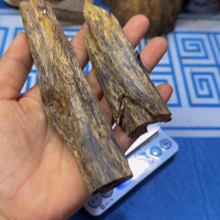 木紫奇树心虫漏50克