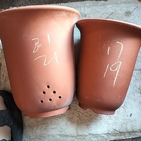 红泥金钟套盆一大一小