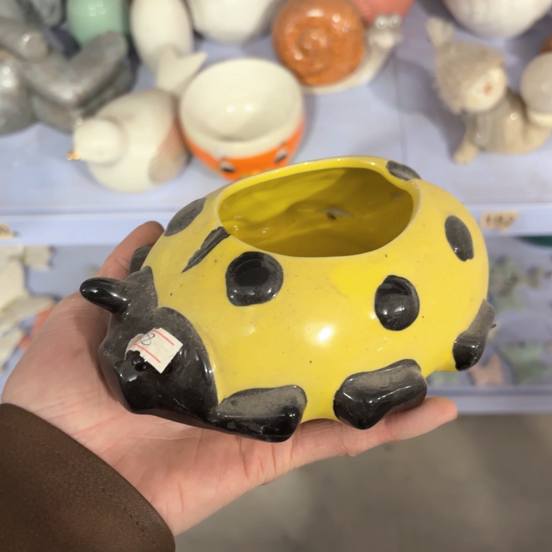 瓷片微瑕清仓特卖不退不换