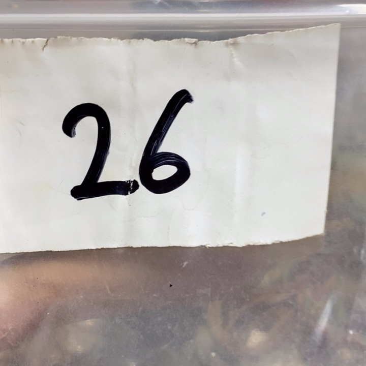 山***经最美古村专属链接