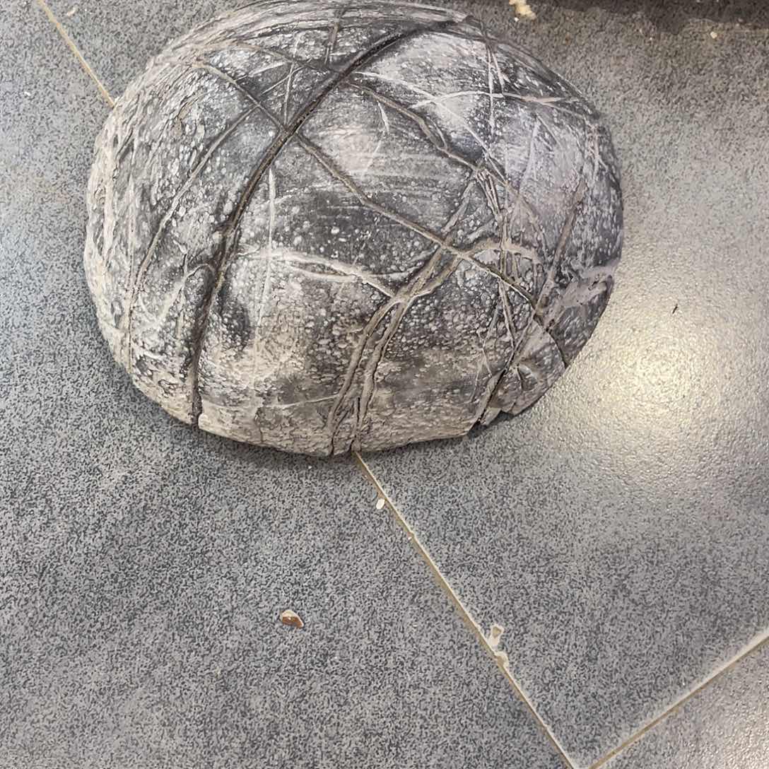 紫砂偏远地区不包邮悠**月
