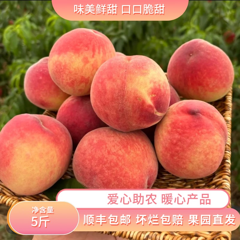【脆甜顺丰包邮】四川脆桃子新鲜水果5斤当季现摘现发