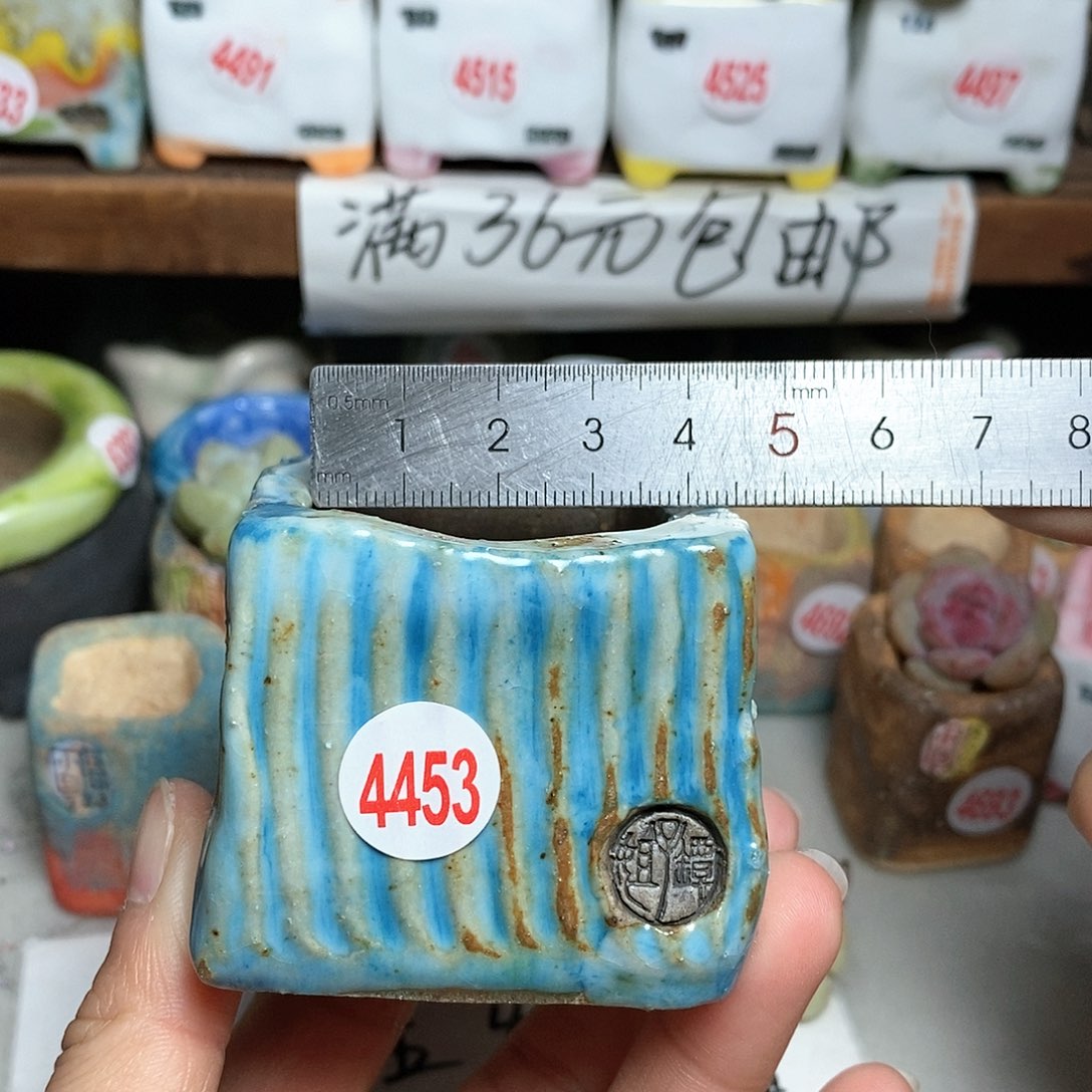 红陶拍5送一个小