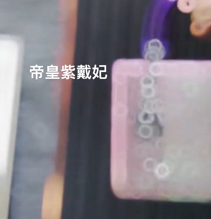 C C定制［紫气东来］ 名媛包6336