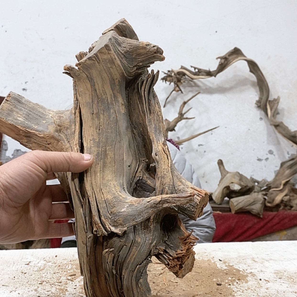 【闪购商品】柏木壹*堂我们都是好孩子