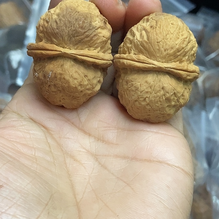 文玩核桃把件云南铁核桃基地34