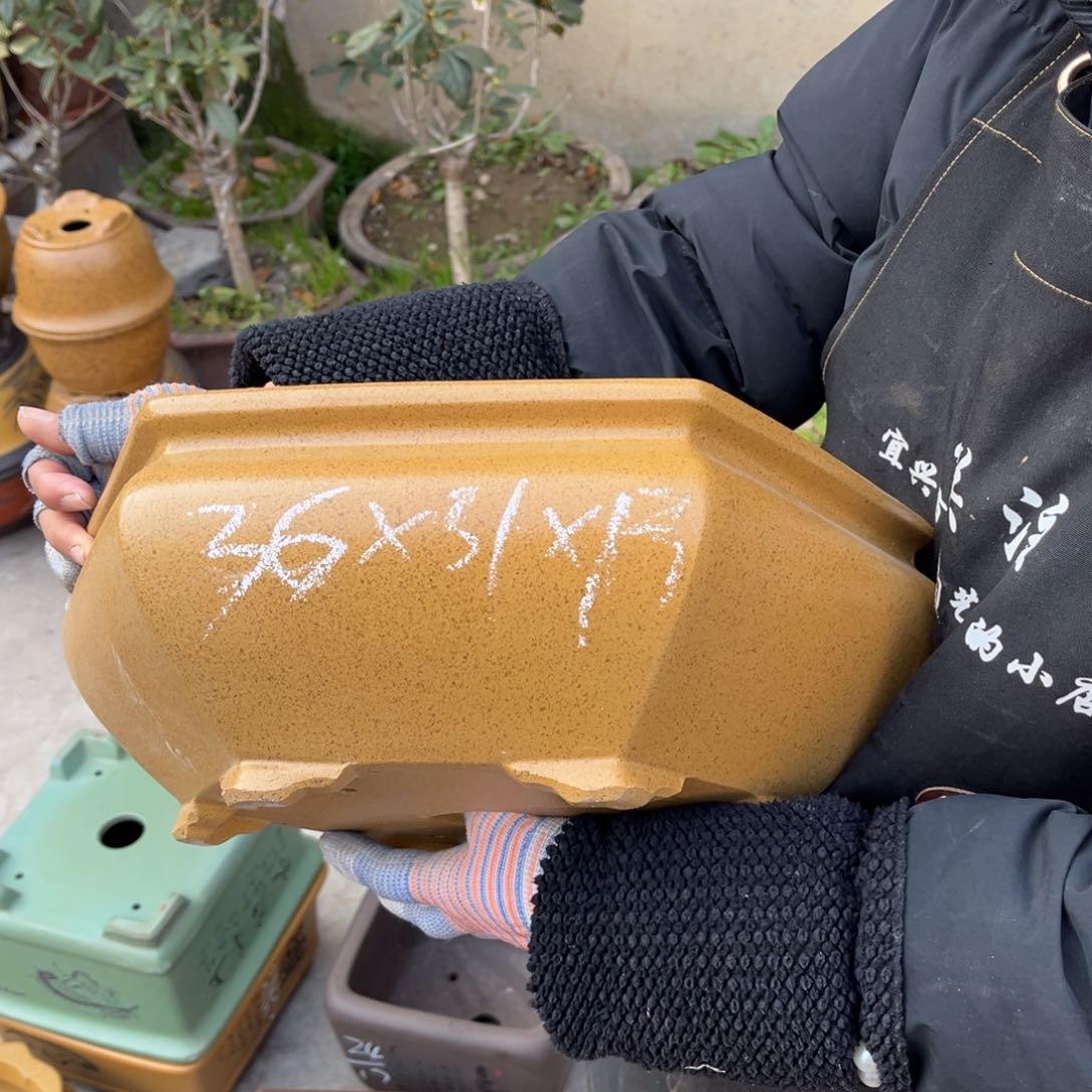 紫砂花盆盆景艺术