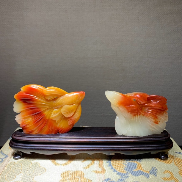 高品质寿山夹板三彩芙蓉石/结晶桃花冻芙蓉石·斗鱼摆件（汪明辉作）