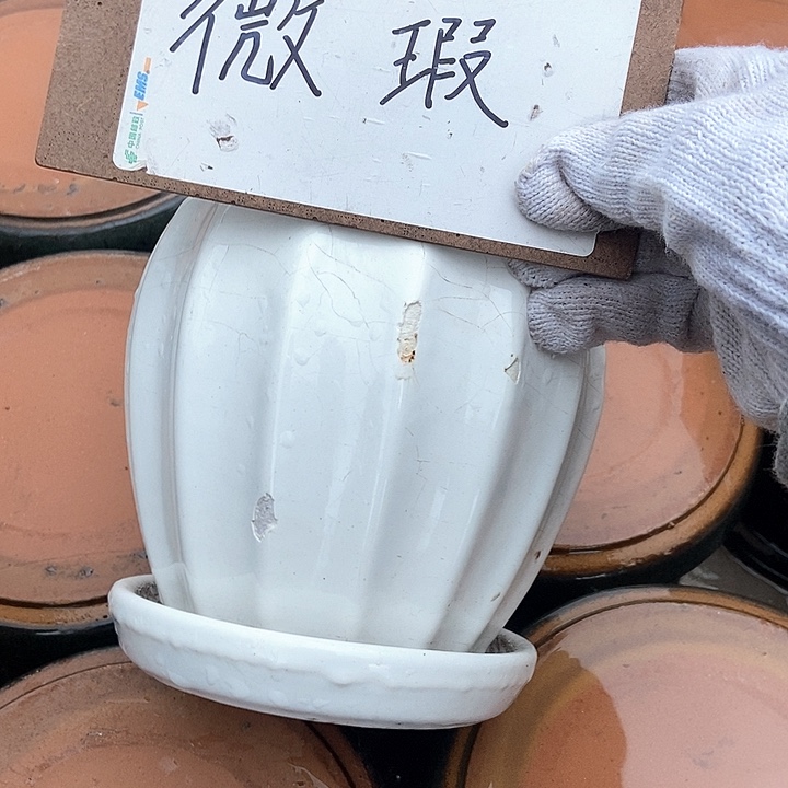 红陶紫砂花盆武穆云仓