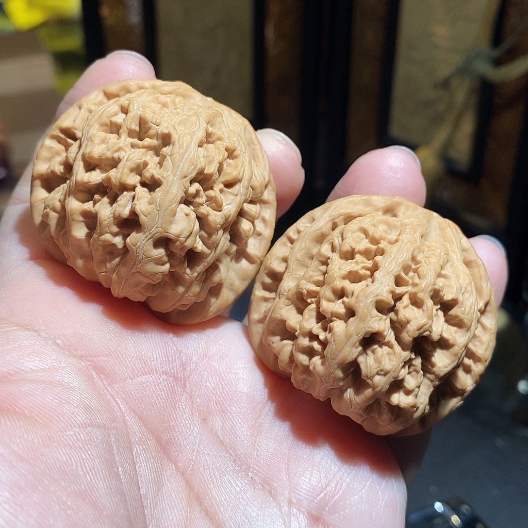 文玩核桃把件46大粗筋全品
