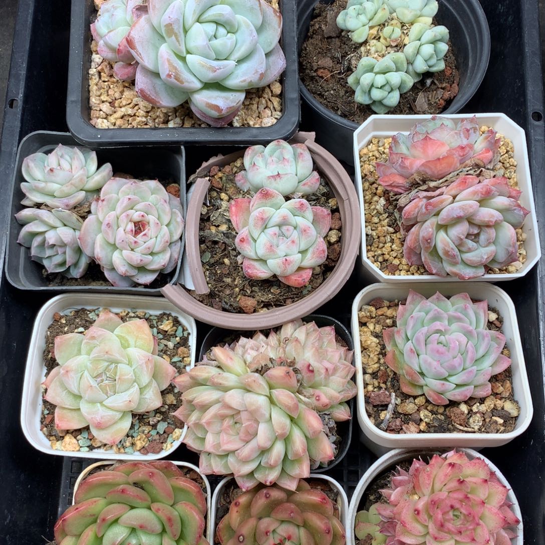 1204-61 套餐一组