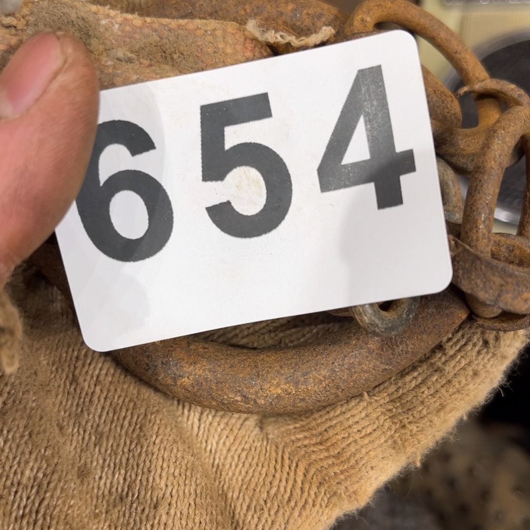 自***子一物一图，工艺品654