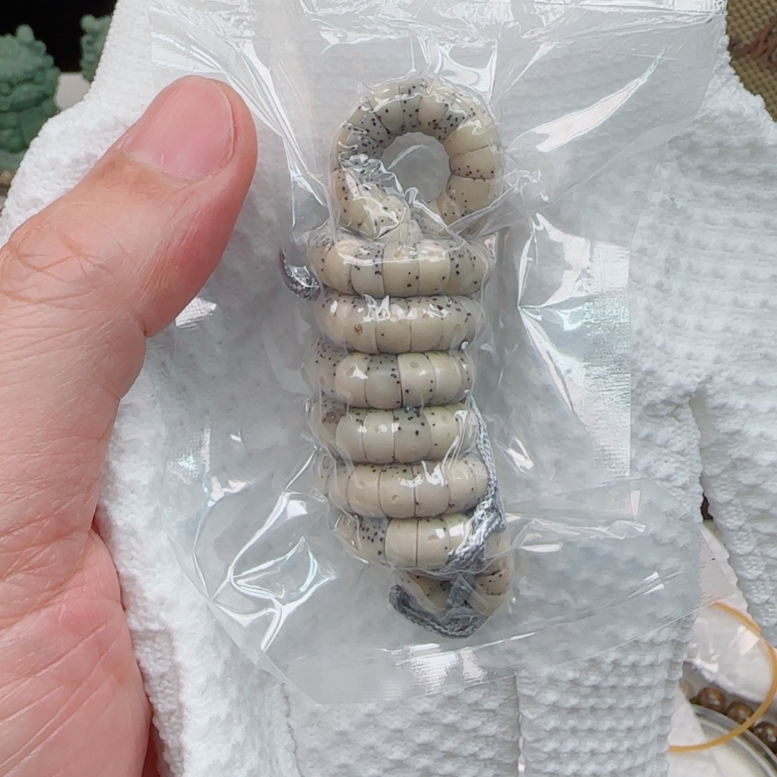 手串星月菩提通体留白月朗星稀手工大肠7mm