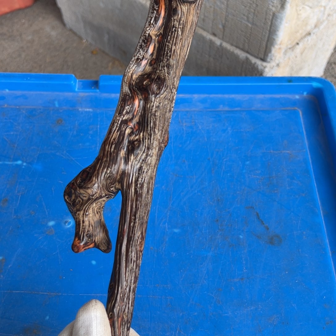 醉***尘太行崖崖柏柏