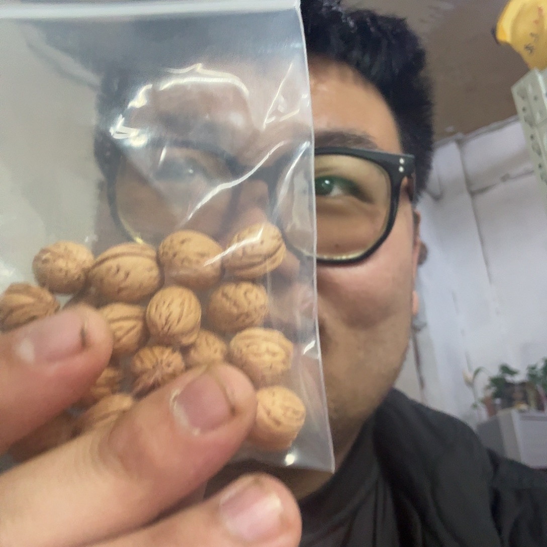 吊坠桃核盘锦圣诞树