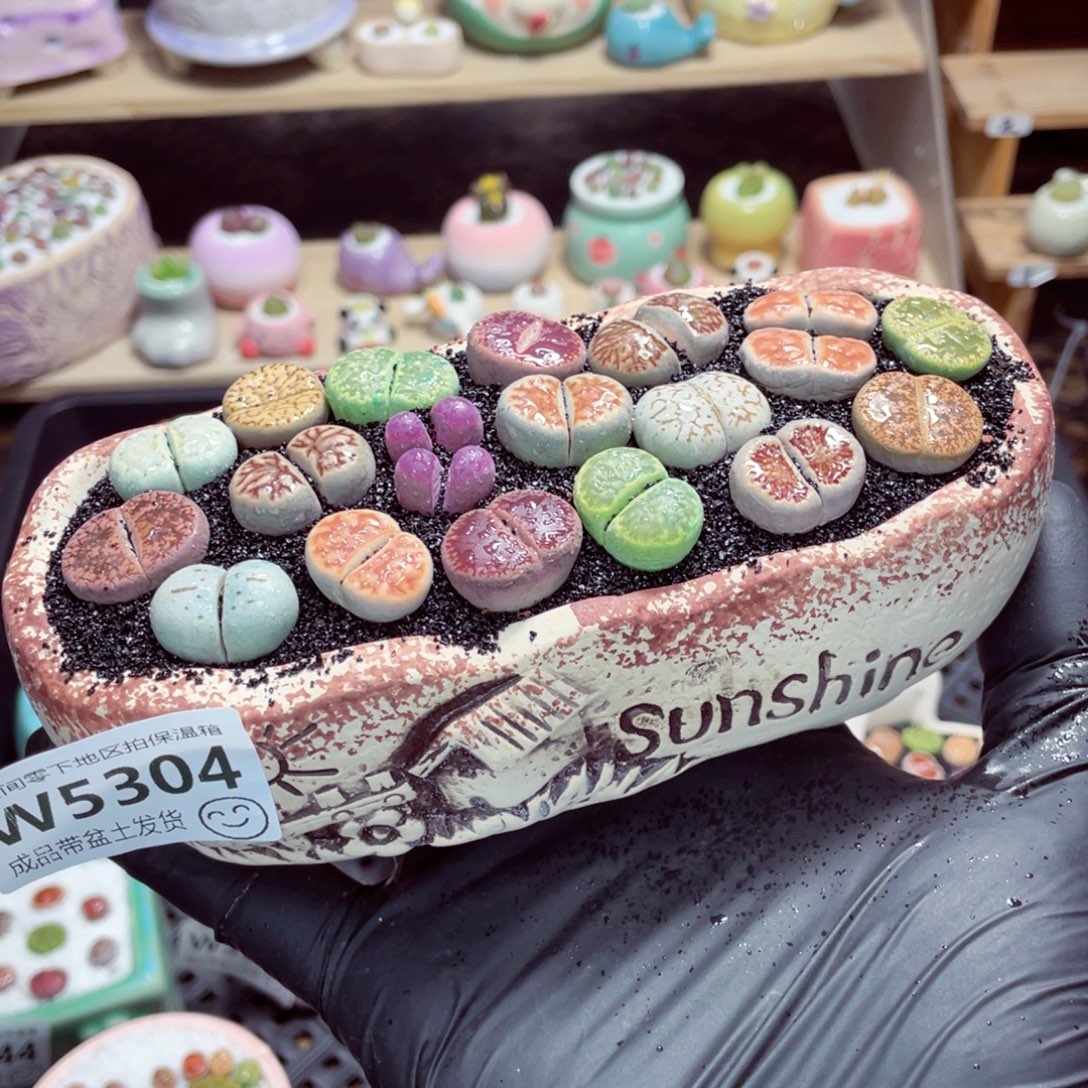 夜间零下地区拍保温箱w5304