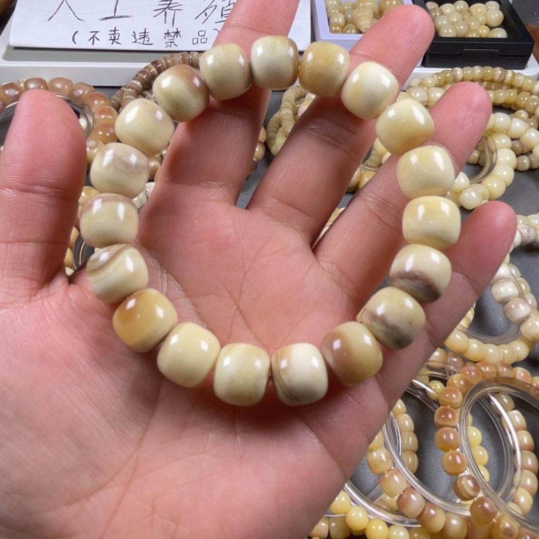 驼骨手串/手链坚12/11