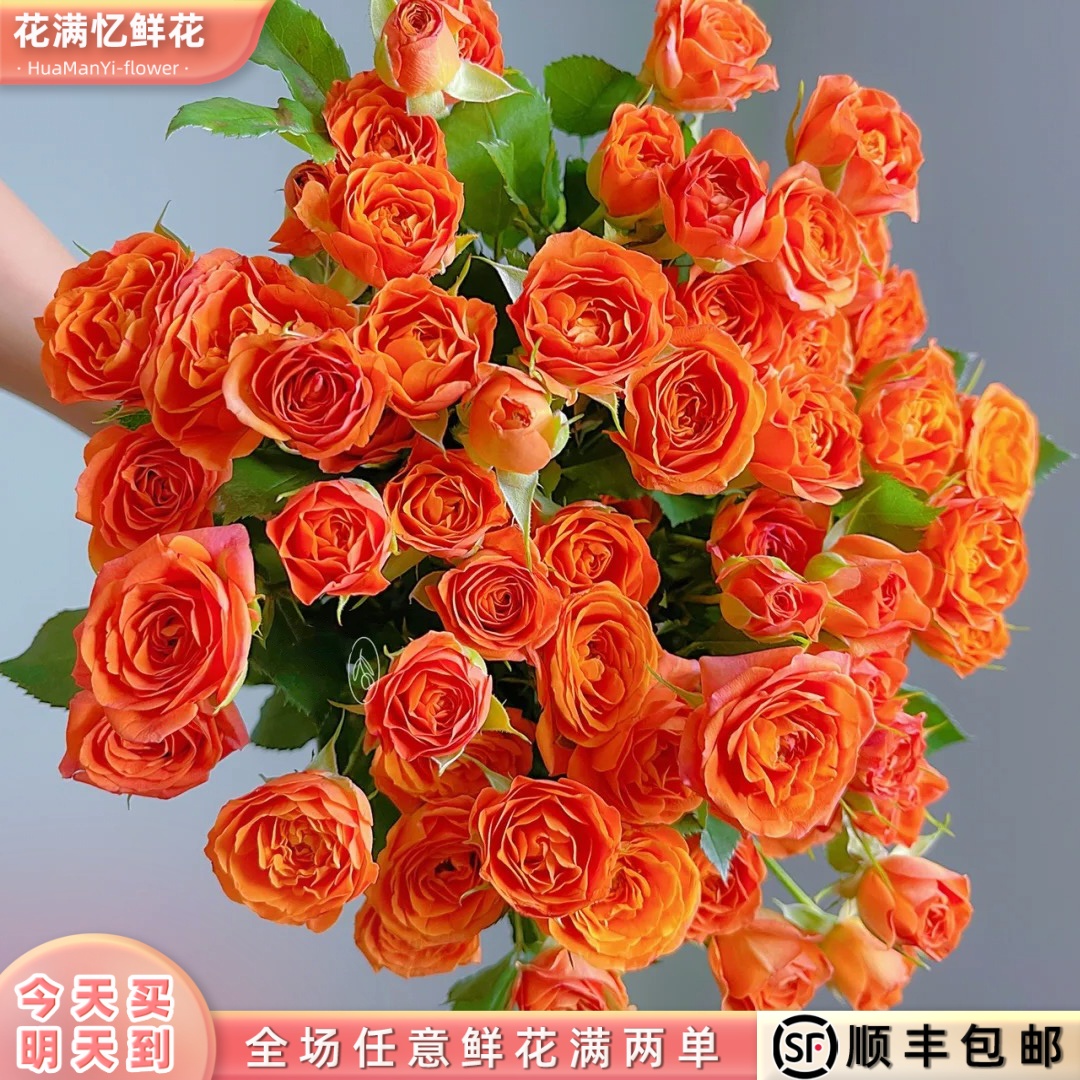 次日达 -【橙色芭比】5枝多头玫瑰鲜花鲜切花家居用花批发任意两单升级顺丰包邮三单送随机花瓶今天拍明天到