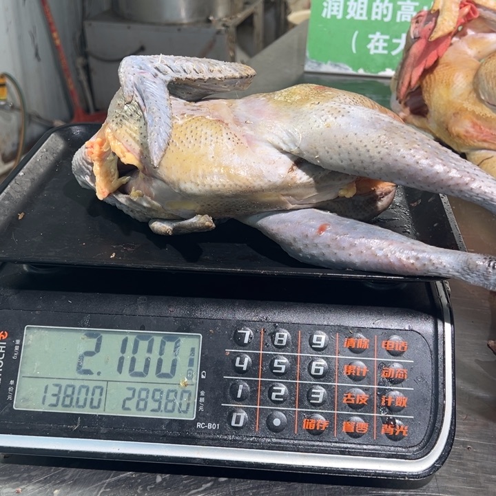 一号公鸡食用农产品中国大陆C****e