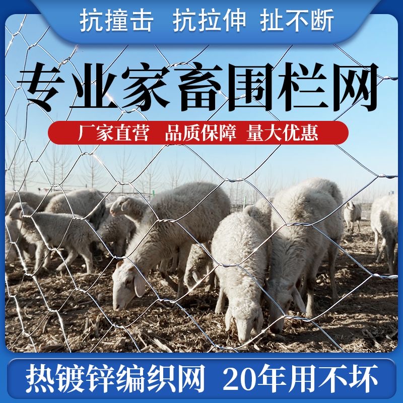直播镀锌铁丝网装饰六角网软边拧花网养鸡网窗户防护网婚庆造型网