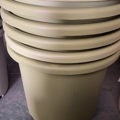 树脂四季9号果绿无托4个微瑕