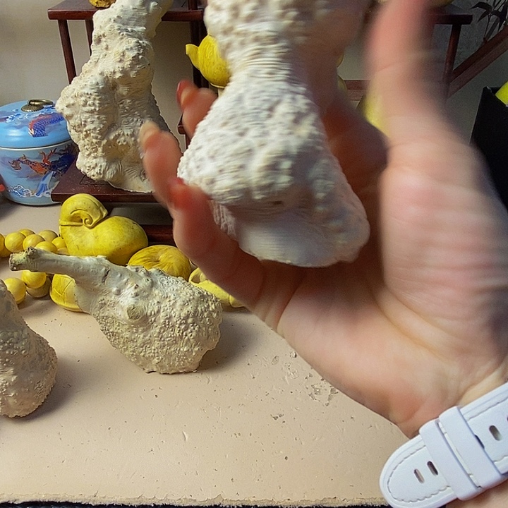 M***3黄杨木等多种木材