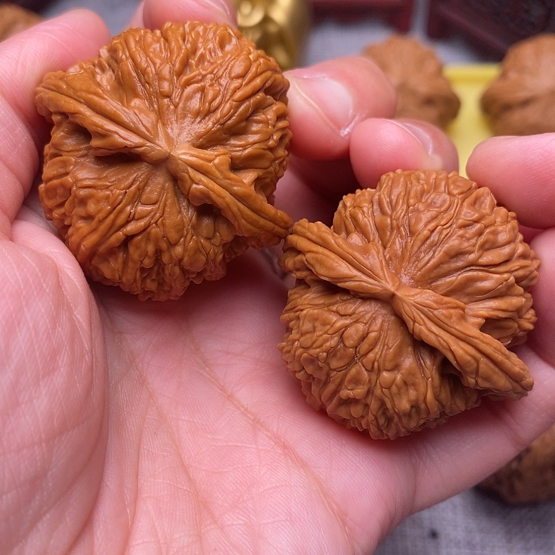 文玩核桃把件全品毕业绝配白狮子42尺