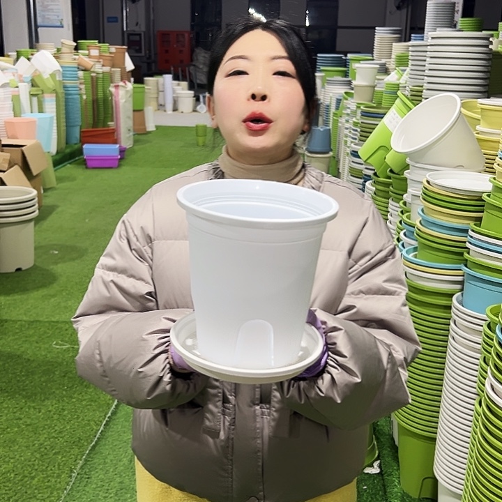 正品圆控口18高18白色8只带托