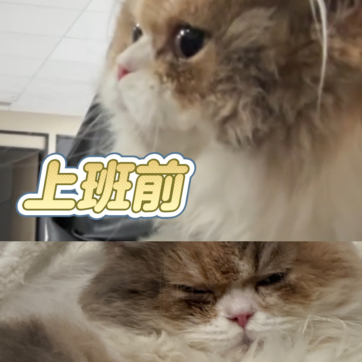 补邮链接思密达  转单复活偏远老师看这里