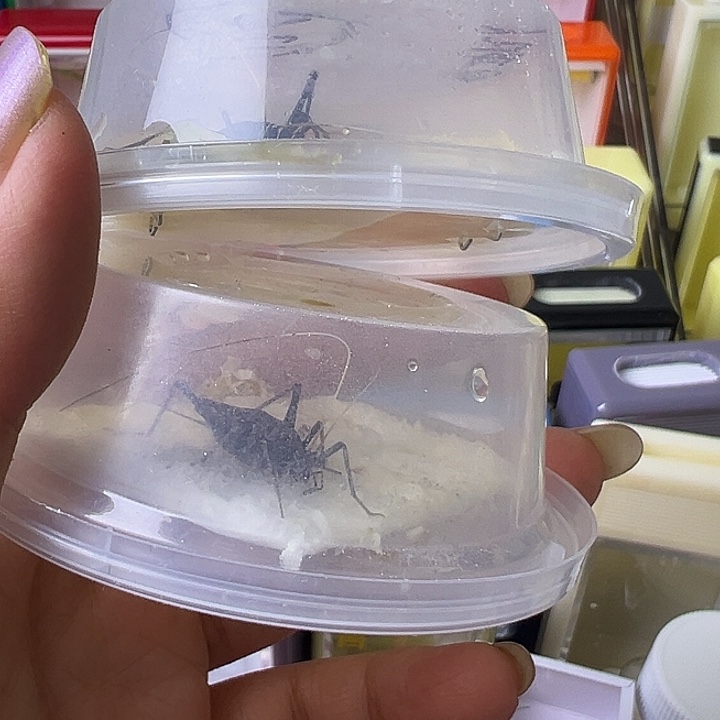 飞***^哈哈哈哈哈哈哈哈哈哈哈