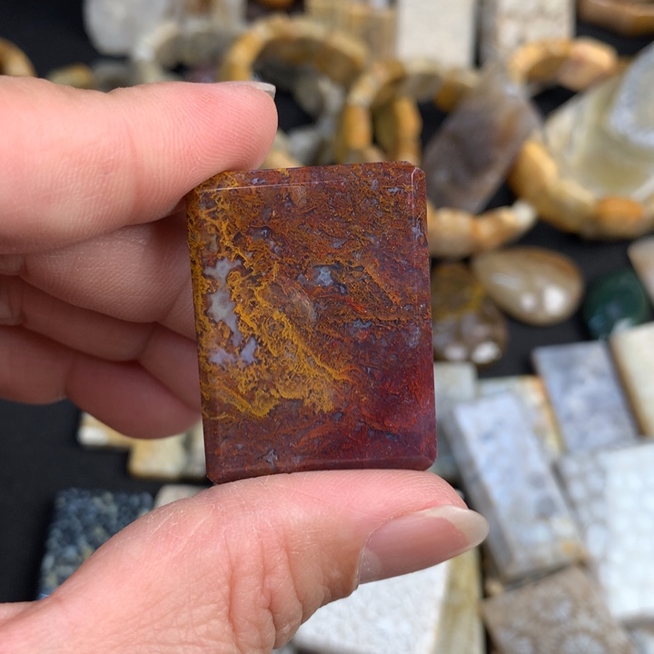 【闪购商品】硅化珊瑚（珊瑚玉）颈饰未镶嵌我***肉