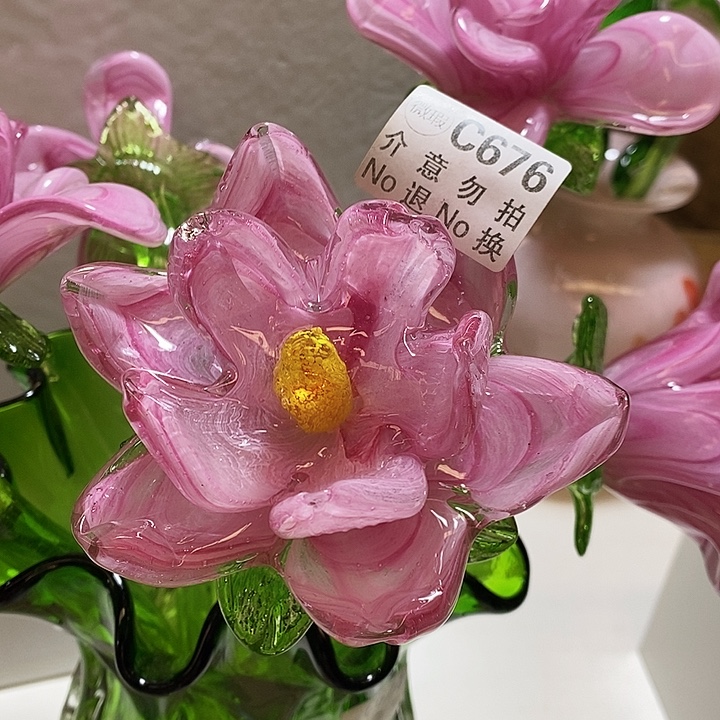 荷花高43厘米左右