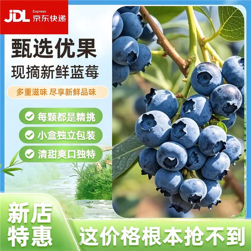 【到手10盒1000g】新鲜脆甜蓝莓应季水果新鲜现摘[送货上门]