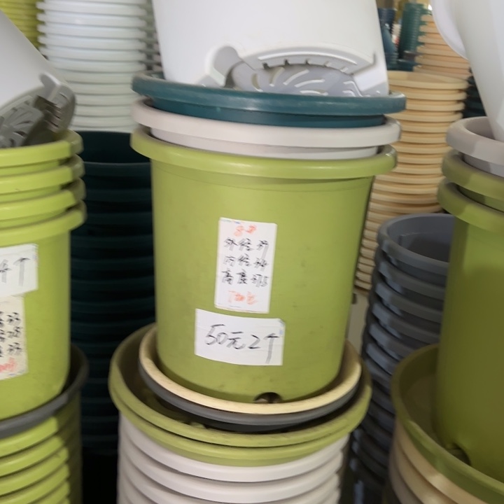 微瑕8#口径39无托果绿3个