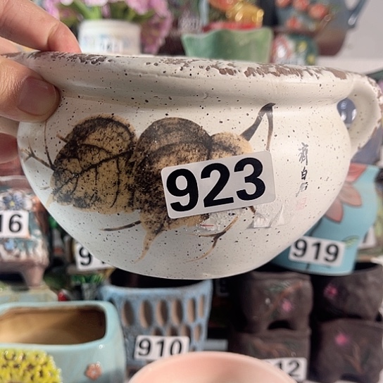 红陶多肉植物花盆