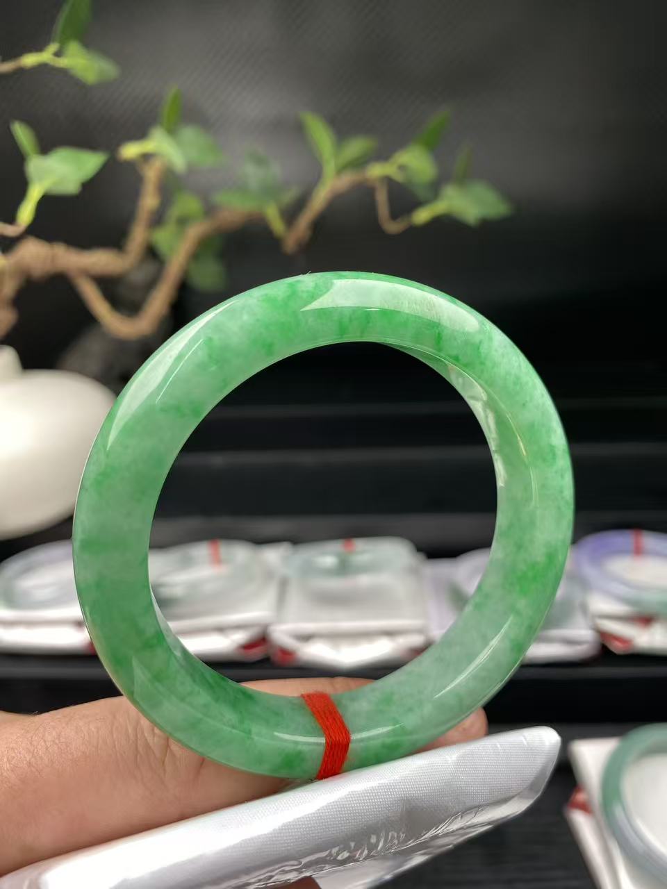 阳绿54正圈翡翠手镯54.8-12.4-8.9