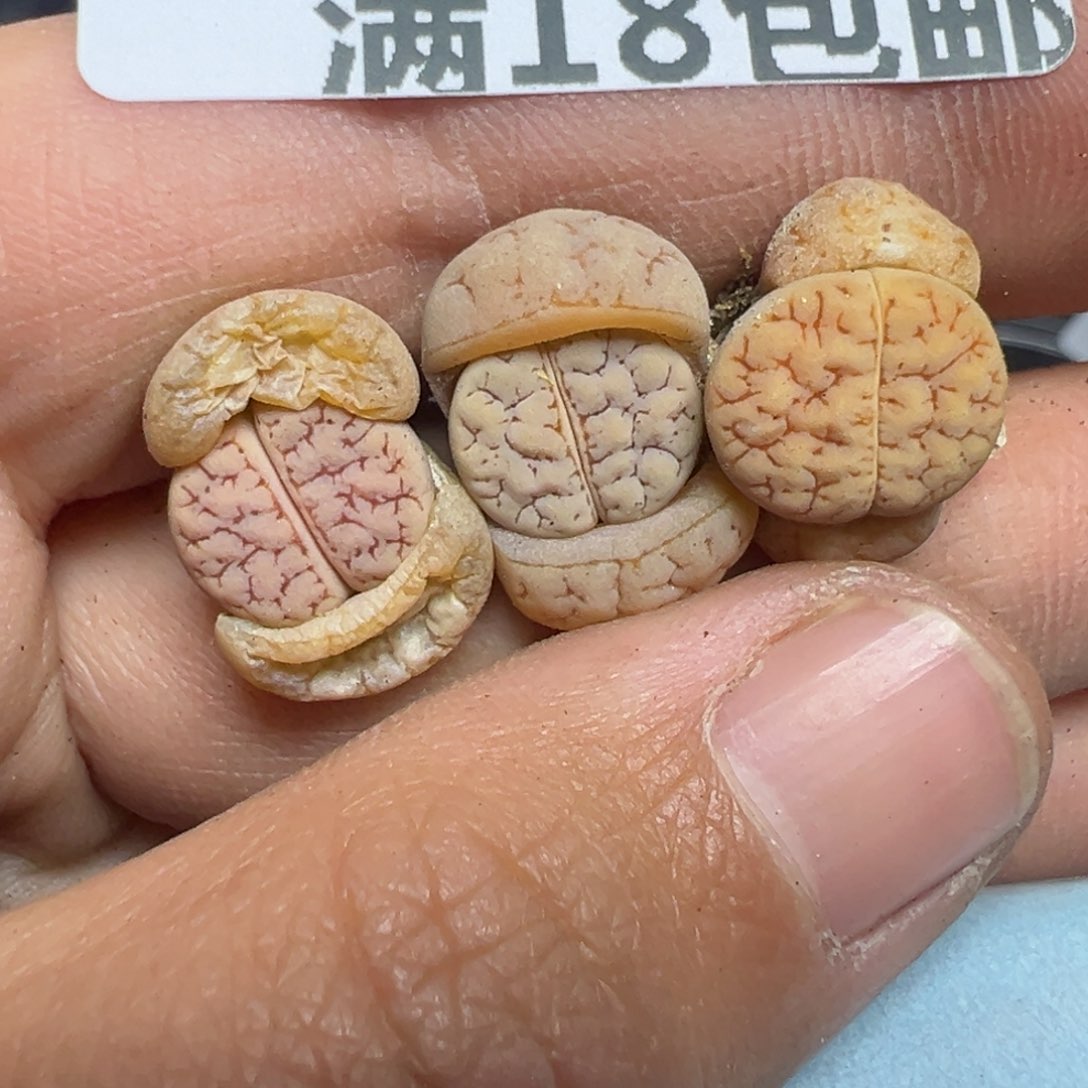 【闪购商品】396….