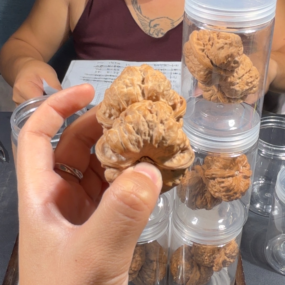 文玩核桃把件126号41mm蛤蟆头带罐