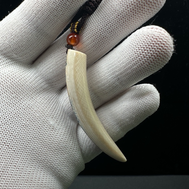 L3765天然猛犸牙 精品牙尖 长63mm支持鉴定 假一罚四