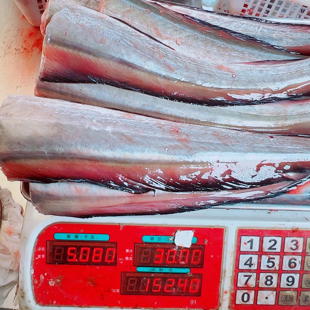 中国大陆五斤鳗鱼头