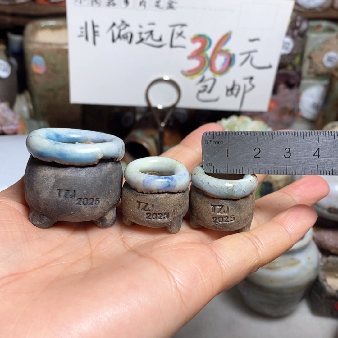 丁****ᰔ花盆拍3送一个小礼物